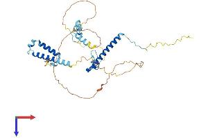 POLR2M Protein (AA 1-368) (His tag)