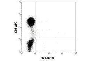 Flow Cytometry (FACS) image for anti-Interleukin 21 (IL21) antibody (PE) (ABIN2663779) (IL-21 Antikörper  (PE))