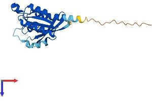 RAB24 Protein (AA 1-203) (His tag)