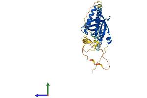 GULP1 Protein (AA 1-304) (His tag)