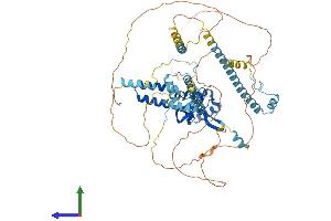 Protein Structure (PS) image for RNA polymerase-associated protein RTF1 homolog (RTF1) (AA 1-710) protein (His tag) (ABIN7555296)