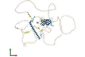 Protein Structure (PS) image for RAB11 Family Interacting Protein 5 (Class I) (RAB11FIP5) (AA 1-653) protein (His tag) (ABIN7551391)
