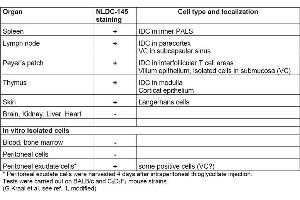 Table 1. (LY75/DEC-205 Antikörper  (FITC))