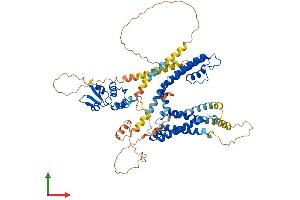 Protein Structure (PS) image for Potassium Voltage-Gated Channel, Shaker-Related Subfamily, Member 4 (KCNA4) (AA 1-653) protein (His tag) (ABIN7554233)