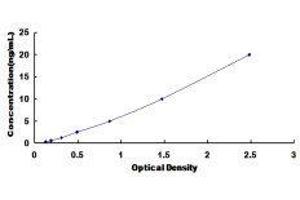 Dynein, Axonemal, Heavy Chain 11 (DNAH11) ELISA Kit