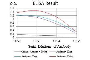 Black line: Control Antigen (100 ng), Purple line: Antigen(10 ng), Blue line: Antigen (50 ng), Red line: Antigen (100 ng), (FGF4 Antikörper  (AA 62-123))