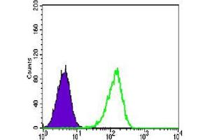 Flow Cytometry (FACS) image for anti-Coactivator-Associated Arginine Methyltransferase 1 (CARM1) antibody (ABIN969002)