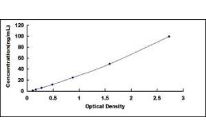 Typical standard curve (INPP4B ELISA Kit)