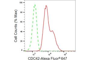 Flow cytometric analysis of CDC42 expression in HepG2 cells using CDC42 antibody (ABIN7798014), 1:2,000). (Rekombinanter CDC42 Antikörper)