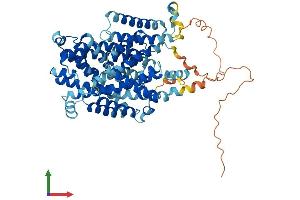 AlphaFold protein structure predicition of Mouse Recombinant Slc7a4 Protein, UniprotID Q8BLQ7 (SLC7A4 Protein (AA 1-635) (His tag))