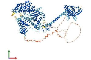 Protein Structure (PS) image for Myosin IF (MYO1F) (AA 1-1099) protein (His tag) (ABIN7563518)