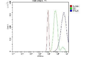 Flow Cytometry analysis of RH35 cells using anti-RPL23 antibody (ABIN7599808). (RPL23 Antikörper  (AA 12-136))