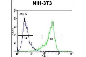 CYP26A1 Antibody (C-term) (ABIN650717 and ABIN2837925) flow cytometric analysis of NIH-3T3 cells (right histogram) compared to a negative control cell (left histogram). (CYP26A1 Antikörper  (C-Term))