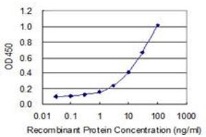 Detection limit for recombinant GST tagged ZNF214 is 0. (ZNF214 Antikörper  (AA 210-319))