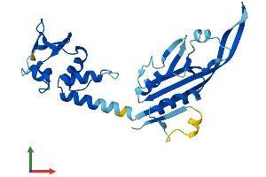 AlphaFold protein structure predicition of Mouse Recombinant Kctd21 Protein, UniprotID Q3URF8