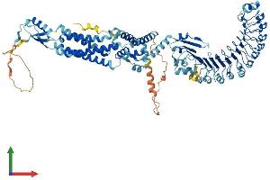 Protein Structure (PS) image for Leucine Rich Repeat Containing 8 Family, Member C (LRRC8C) (AA 1-803) protein (His tag) (ABIN7564714)