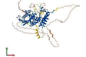 Protein Structure (PS) image for Phosphatidylinositol-4-Phosphate 5-Kinase, Type I, alpha (PIP5K1A) (AA 1-562) protein (His tag) (ABIN7554989)