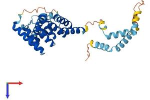 SGTA Protein (AA 1-313) (His tag)