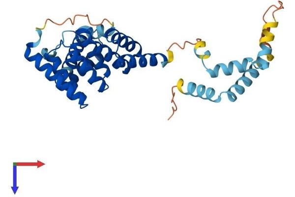 SGTA Protein (AA 1-313) (His tag)