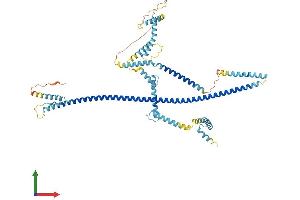 Protein Structure (PS) image for Centrosomal Protein 70kDa (CEP70) (AA 1-597) protein (His tag) (ABIN7553418)