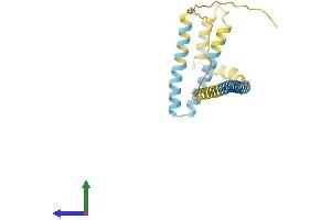 Protein Structure (PS) image for Receptor Accessory Protein 1 (REEP1) (AA 1-201) protein (His tag) (ABIN7558556)
