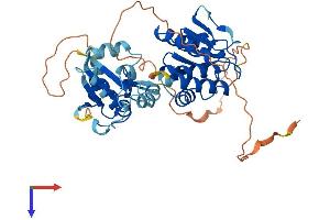 DUSP4 Protein (AA 1-394) (His tag)