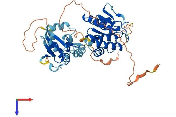 DUSP4 Protein (AA 1-394) (His tag)