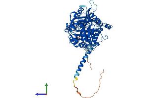 Protein Structure (PS) image for Myotubularin 1 (MTM1) (AA 1-603) protein (His tag) (ABIN7554635)