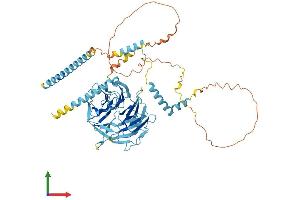 Protein Structure (PS) image for Dynein, Cytoplasmic 1, Intermediate Chain 1 (DYNC1I1) (AA 1-628) protein (His tag) (ABIN7562611)
