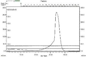 Size-exclusion chromatography-High Pressure Liquid Chromatography (SEC-HPLC) image for Spermine Oxidase (SMOX) (AA 1-555) protein (Strep Tag) (ABIN3077180)