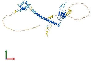 Protein Structure (PS) image for E2F5 (E2F5) (AA 1-335) protein (His tag) (ABIN7557713)