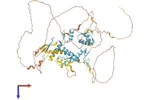 ZNF276 Protein (AA 1-614) (His tag)
