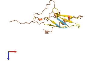 Glucuronidase, beta Pseudogene 1 (GUSBP1) (AA 1-140) protein (His tag)