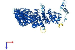 FEM1C Protein (AA 1-617) (His tag)