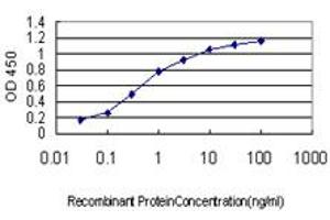 Detection limit for recombinant GST tagged CSF1R is approximately 0. (CSF1R Antikörper  (AA 21-120))