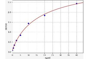 Typical standard curve (EPH Receptor B2 ELISA Kit)