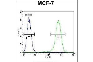 Flow cytometric analysis of MCF-7 cells (right histogram) compared to a negative control cell (left histogram). (NUDT8 Antikörper  (N-Term))