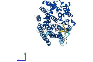 AlphaFold protein structure predicition of Mouse Recombinant Alg8 Protein, UniprotID Q6P8H8
