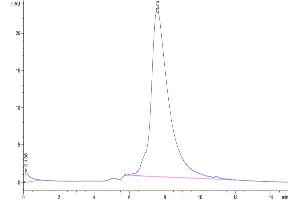 The purity of Biotinylated Human/Cynomolgus/Rhesus macaque CD28 is greater than 95 % as determined by SEC-HPLC. (CD28 Protein (CD28) (His-Avi Tag,Biotin))