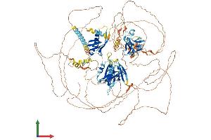 Protein Structure (PS) image for Par-3 Partitioning Defective 3 Homolog B (PARD3B) (AA 1-1203) protein (His tag) (ABIN7564943)