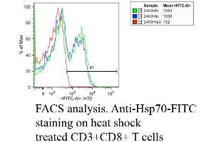 Fluorescence Activated Cell Sorting analysis using Mouse Anti-Hsp70: FITC Monoclonal Antibody, Clone C92 . (HSP70 Antikörper  (Biotin))