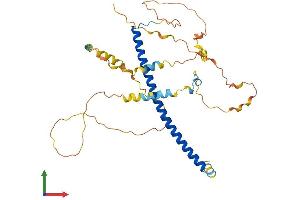 Protein Structure (PS) image for CCAAT/enhancer Binding Protein (C/EBP), alpha (CEBPA) (AA 1-358) protein (His tag) (ABIN7553411)
