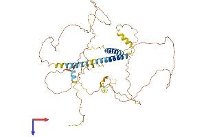 TMEM200A Protein (AA 1-491) (His tag)