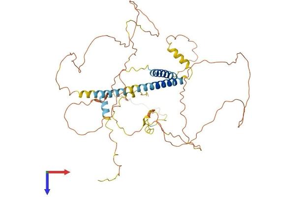 TMEM200A Protein (AA 1-491) (His tag)