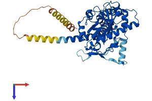 DGAT2 Protein (AA 1-388) (His tag)