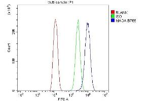Flow Cytometry analysis of U20S cells using anti-MAOA antibody (ABIN3043872).