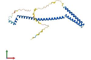 Protein Structure (PS) image for Vacuolar Protein Sorting 37 Homolog D (VPS37D) (AA 1-251) protein (His tag) (ABIN7545106)
