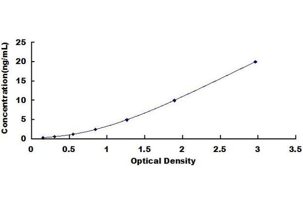 MBL2 ELISA Kit