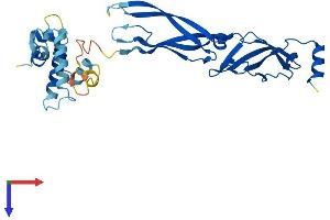 DNAJB13 Protein (AA 1-316) (His tag)