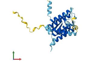 AlphaFold protein structure predicition of Mouse Recombinant Derl3 Protein, UniprotID Q9D8K3